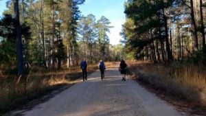 Lone Star Hiking Trail