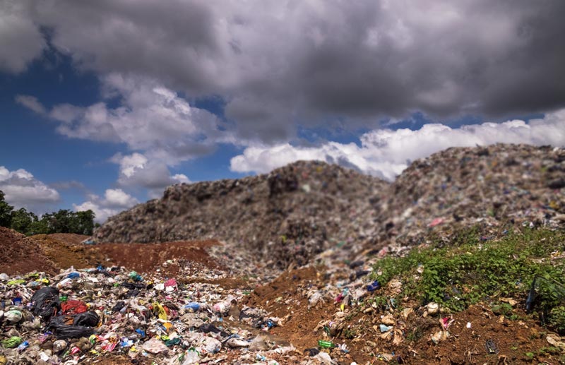 Do Compostable Bags Break Down In Landfills