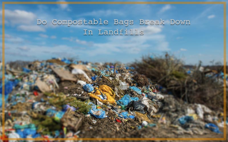 Compostable Bags Disposed In Landfills